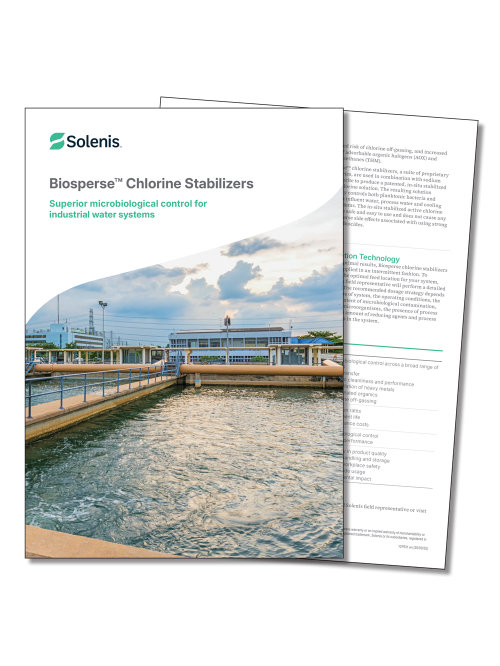 PC107931 : Biosperse Chlorine Stabilizers
